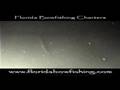 Florida Bowfishing Charters - World Class Bowfishing