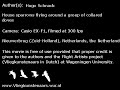 House sparrows meet collared doves; filmed at 300 fps House sparrows meet collared doves; filmed at 300 fps