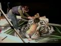 Chicas pintadas como un tigre