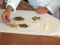 Dr Shen's Zong gan ling formula (for advanced cold and flu)  Influenza Herbal Medicine