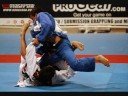 40 Degrees BJJ CAMPS  - SAN DIEGO: COBRINHA