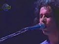 Señal que te he perdido (vivo) Gran Rex 1997-Andrés Calamaro