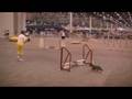Fancy the Miniature Wirehaired Dachshund - Agility Runs