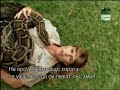 The Crocodile Hunter Diaries - Reticulated Babies pt1