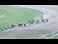 2008年7月12日 阪神10R 灘S ダイナミックグロウ