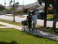  - Piczo Movies Video