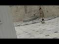videos de Greece 2008
