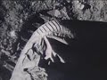 Neil Armstrong - First Moon Landing 1969