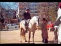 Escuela de Equitaci�n Antonio Santiago - NUESTRA HIST�RIA