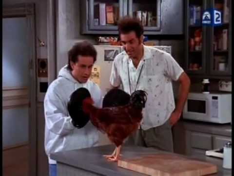 Indigoblue25 - 12th video of Seinfeld's Cosmo Kramer invention... Owning his own chicken to obtain fresh eggs. He later discovers that the chicken is really a rooster and t...