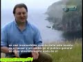 mega stunami - traducido español mega stunami - traducido español