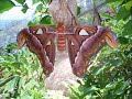 Thumbnail #2