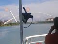 River cruises