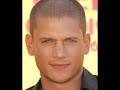 wentworth miller