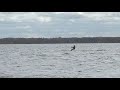 kitesurf
