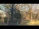steve vs wild episode 1 part 3 eastern bangledash.html
