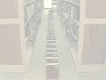 Library Dominoes
