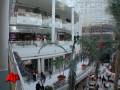 Prices Slashed to Entice Holiday Shoppers
