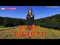 【広島県】STU48石田千穂特別防犯支援官「ATM携帯電話〜ご当地動画〜」編