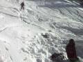 videos de Nico with a unwanted Tailmute 360°