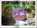 PRINGUITA DE AMOR, JUAN VEGA