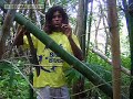 Manejo de Bambu