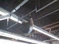 http://kly.so/2E8 .Bar Kicks (8 × 15)