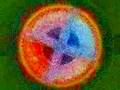 Open-Eyed Meditation: The Four Corners Suite