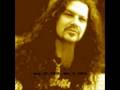 Dimebag Tribute