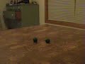 bouncing blobs