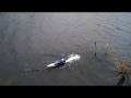 videos de MERIDIAN BAT BOAT WITH BRUSHED MOTOR ALL G-FREAK PARTS.