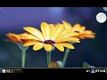 KDE 4 rc2 KDE 4 rc2