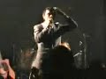 Babyshambles