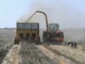 Staalmeester Double Chop DS540 Wheat residue chopper
