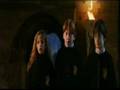 Harry,Ron,Hermione...papà castoro