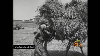 فيديو نادر من عام 1908 لقرية كفرعانة قضاء يافا