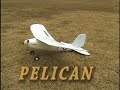 Pelican (ペリカン)