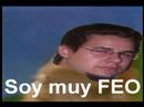 DarkTiger es FEO