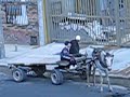 Vehiculo de traccion animal conducido por un ni�o
