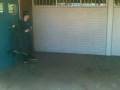 Bob Still Wants In The Music Room