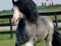 Clydesdales And Gypsy Vanners