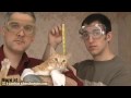 Advanced Cat Yodeling