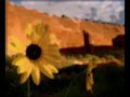 Stevie Wonder-Never dreamed you'd leave in summer