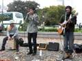 071111『アオバ』【宿り木】代々木公園