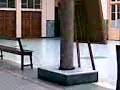 cartelera al piso