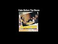 Fall Out Boy - Calm Before The Storm