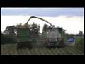 Claas 980 am Mais Häckseln