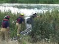 ford-pickup-into-swamp-off-sr-167-near-sumner-wa.html
