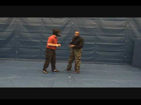 0 How to Be a Cop: Learning Self Defense