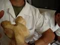 Anatomia veterinaria I (VÍDEO 3) - UENP FFALM 18° TURMA